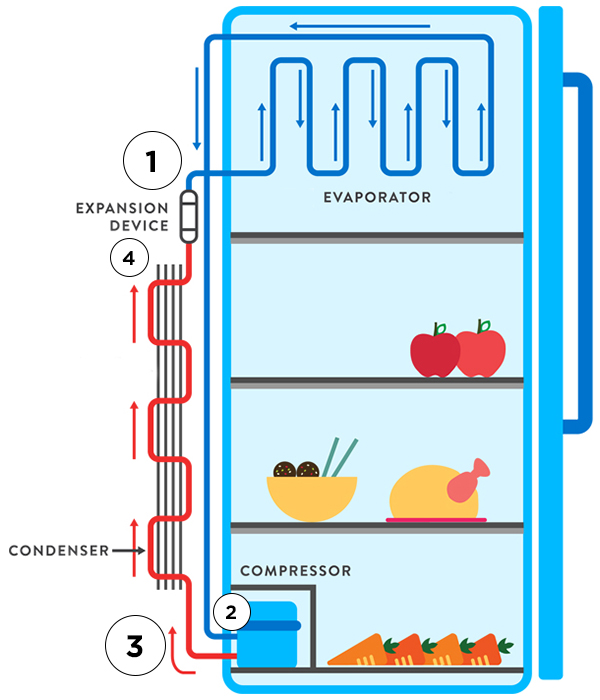 How Fridge Works